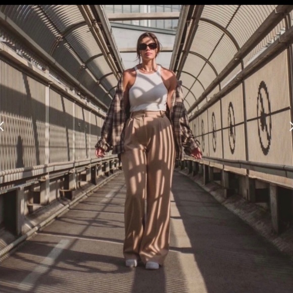 FAVORITE DAUGHTER The Favorite Pant Shortie Pleated Trouser in Beige Womens 12 - Picture 4 of 4